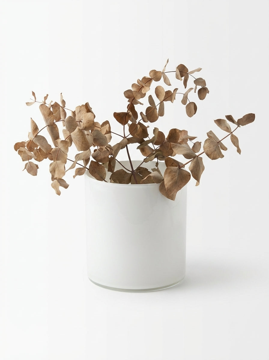 Dried Eucalyptus Vase Set – Witte Vaas met Bruine Siertakken